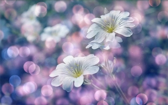 朋友祝福语英语