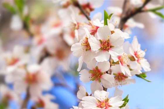 结婚纪念日祝福语简短
