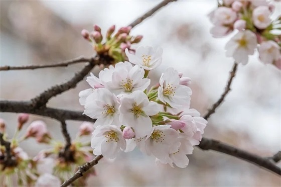 金榜题名祝福语大全