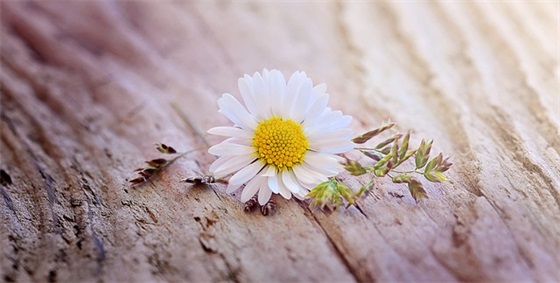 中秋节真诚祝福语58句