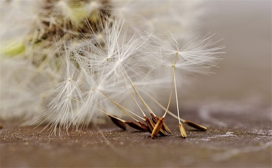 高考寄语简短祝福)