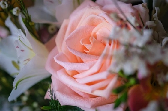 鸡年企业公司祝福语57句