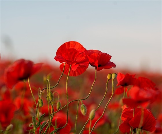 中秋节祝福语 中秋节寄语简短话