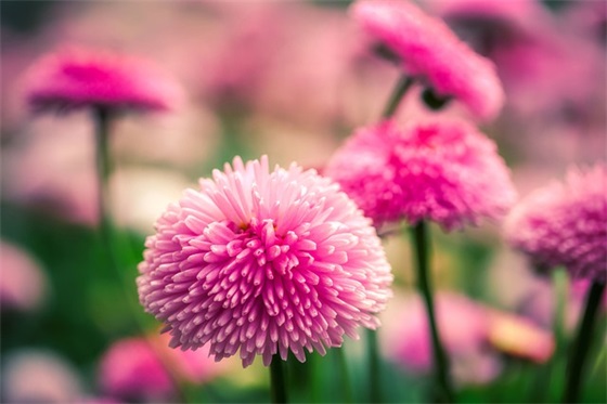 生日贺卡怎么写祝福语 闺蜜生日贺卡怎么写