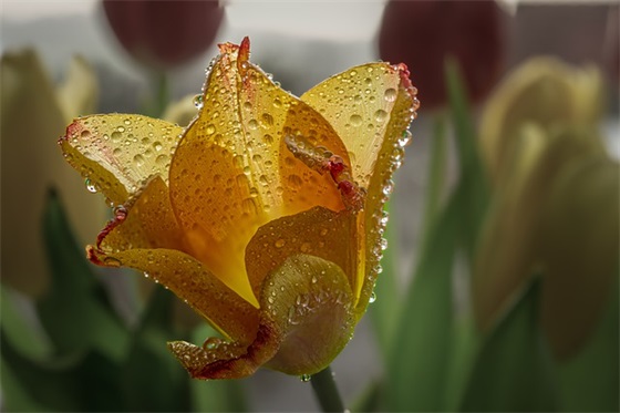 各种场合见面祝福语 见面祝福语