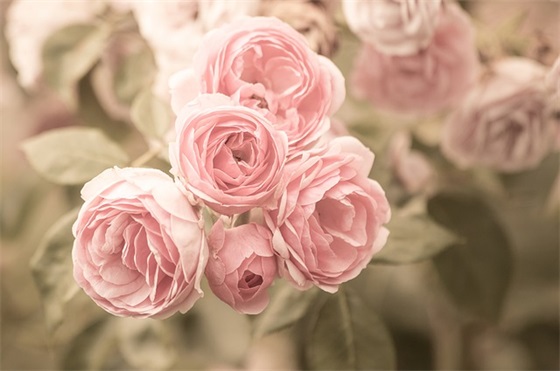 2025年副经理祝福语57句