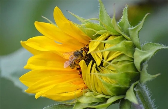 搞笑马年祝福语60句