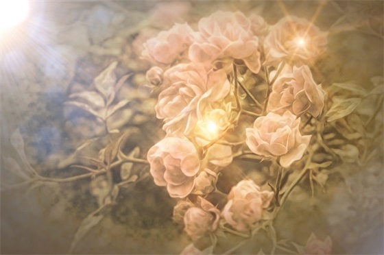 新婚祝福词语 2025十月份新婚祝福语大全