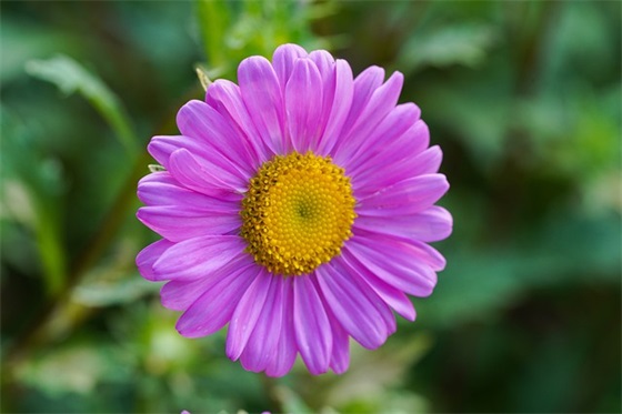 2025年高考祝福语大全55句