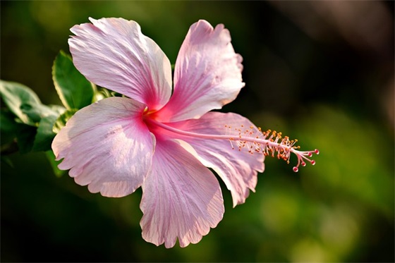 上大学祝福语大全50句