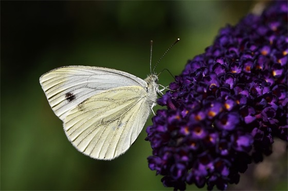 普通高中期终考试祝福词 给医师考试祝福词