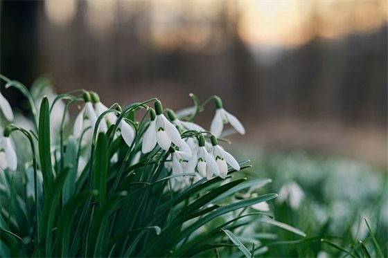 2025幼儿园儿童节祝福语暖心句子大全精选