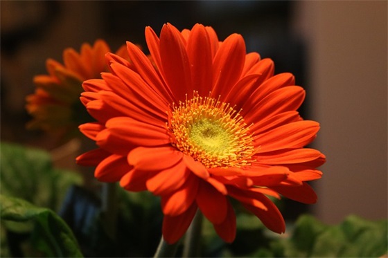 给90岁老人的祝福语58句