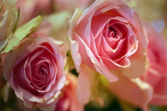 妇女节搞笑祝福语56句