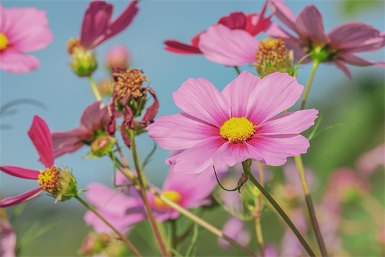 端午节对孩子祝福语57句