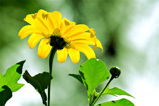 适合冬至发的祝福短信