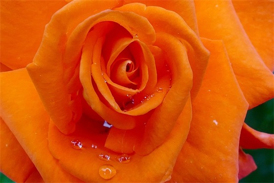 劳模宣传口号 弘扬劳模精神宣传口号(精选55句)