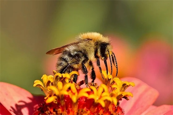 从现在开始(精选2篇)