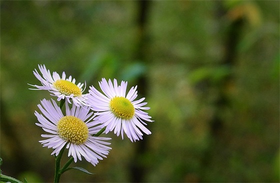 个人感言简短(精选23句)