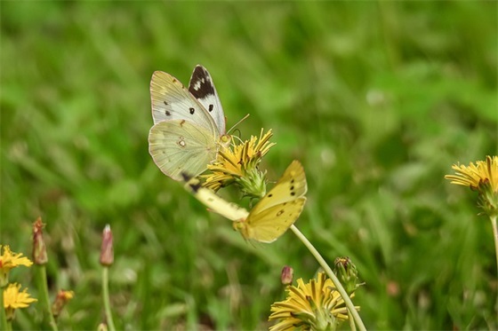 工程项目经理具体职责要求(精选3篇)