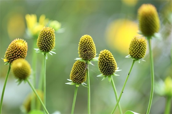 过新年(精选3篇)