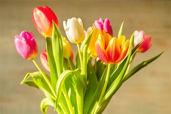 齐心协力(精选2篇)