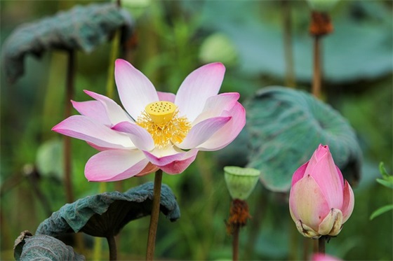 质检经理岗位职责(精选3篇)