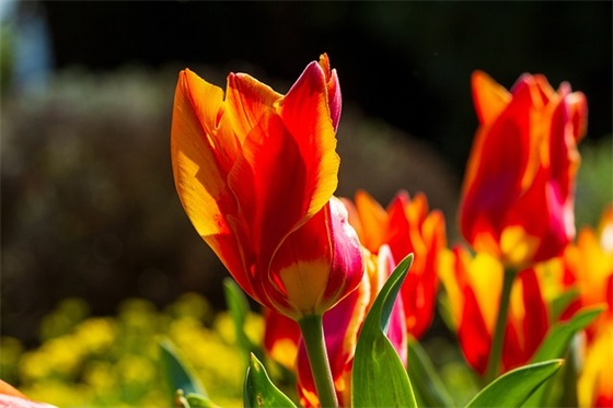 疼到骨子里心碎的短文 疼到骨子里心碎的短句