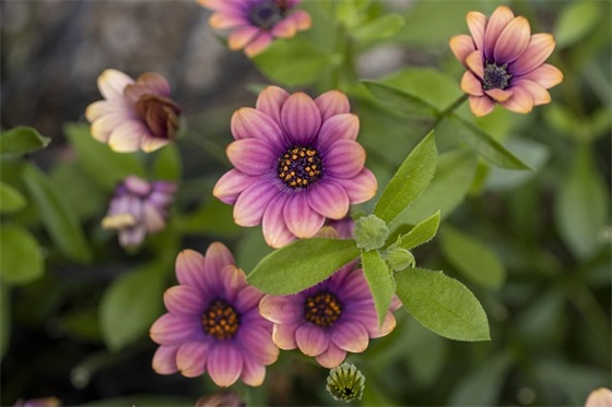 给情人微信备注名称 情人的微信备注名用什么好(精选97个)