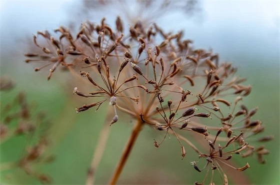 表演课本剧(精选3篇)