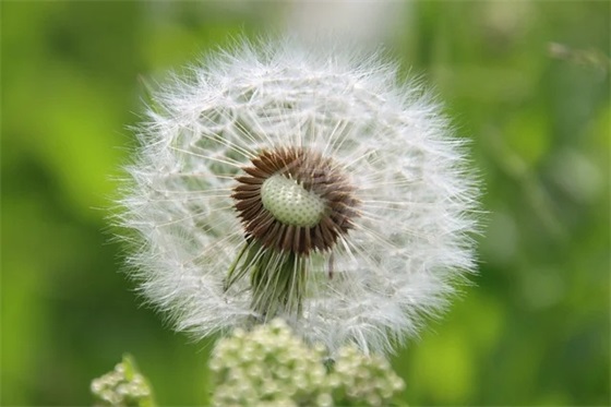 给女友暖心早安问候语 早安给女友的情话(精选21句)