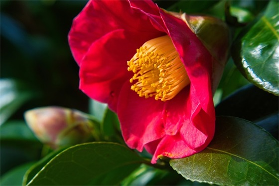 适合上夜班发的朋友圈一句话(精选21句)