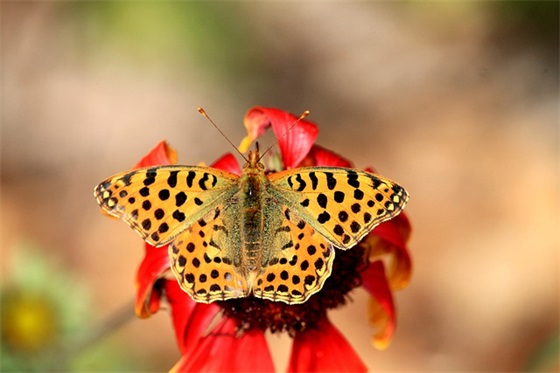 最美的风景在路上的唯美语句集锦(精选25句)