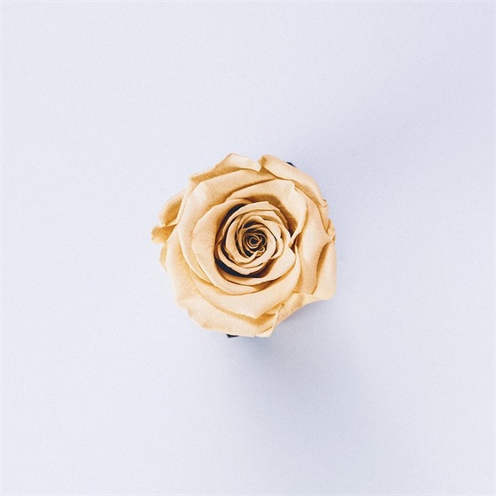 4字人生格言 4字人生格言励志短句(精选94句)