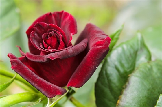 撑船歇后语 宰相能撑船的歇后语(精选50句)