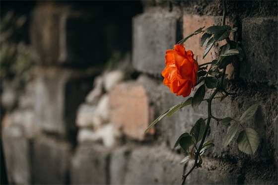 加班到深夜正能量感言 深夜加班朋友圈短语