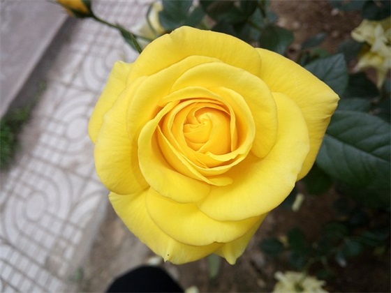 医助岗位职责(精选3篇)