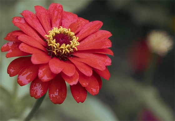 奇葩队名和口号大全 奇葩队名和口号大全霸气