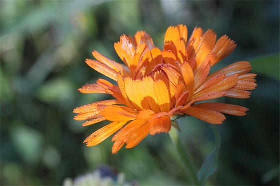 英雄联盟里的霸气台词 英雄联盟十大霸气台词