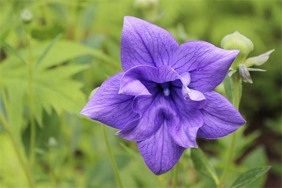 2024超拽霸气qq网名发布中心(精选89个)