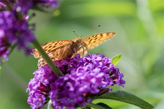 2024年防洪防汛口号大全(精选42句)