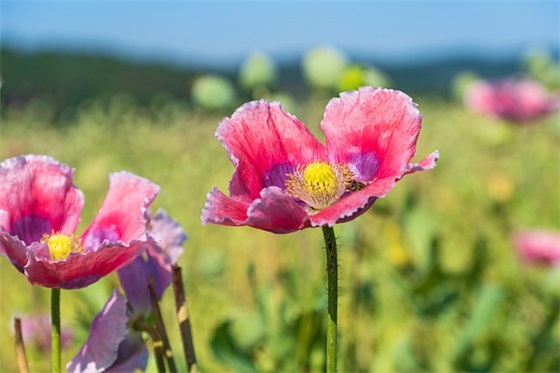 收到孩子的礼物感谢语 收到别人送给孩子的礼物感谢语