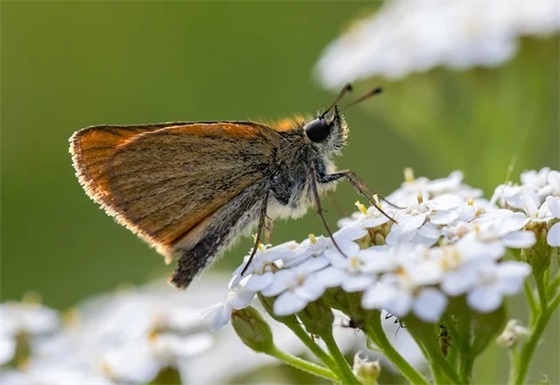 将相和缩写300字到400字(精选3篇)