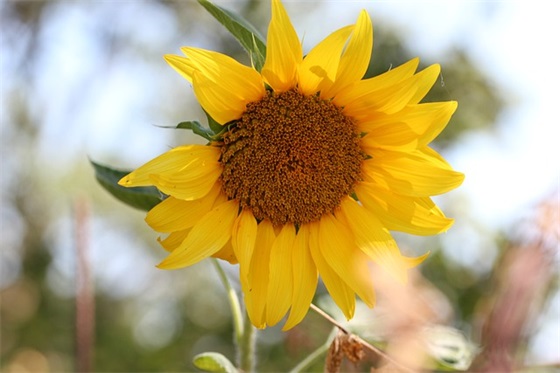 抖音夸男人的顺口溜 夸抖音美女的顺口溜(精选22句)