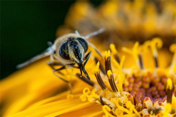 销售早安正能量朋友圈(精选25句)