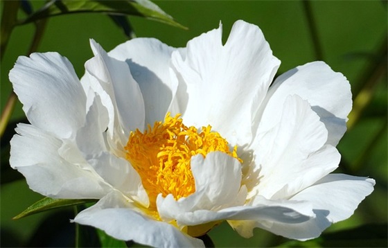 甜蜜的瞬间 2024最新情侣专用网名(精选41个)