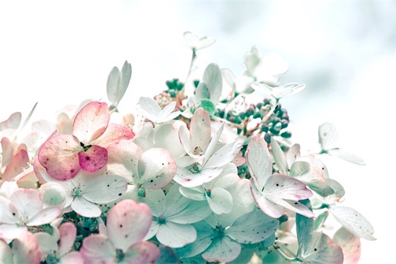 向英雄致敬短句10字 向英雄致敬短句(精选23句)