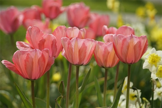 人生格言大全励志8字 人生格言大全励志12字