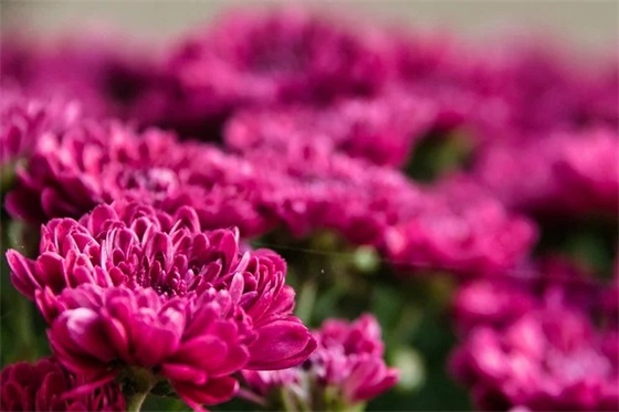 简短精练的座右铭 微信座右铭简短精练(精选35句)