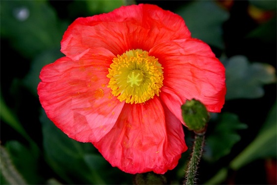 整理房间(精选4篇)